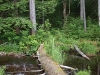 Looking bac at the Witchhopple Lake outlet log crossing